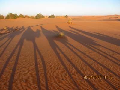 モロッコ一人旅　4日目　砂漠ツアー参加2日目（トドラ峡谷、メルズーカ）
