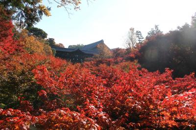 2013年秋の京都を友と歩く