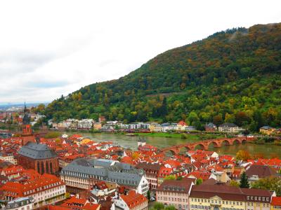 ドイツ世界遺産巡りと街歩き~ロマンチック街道、ライン川周辺~⑥日目