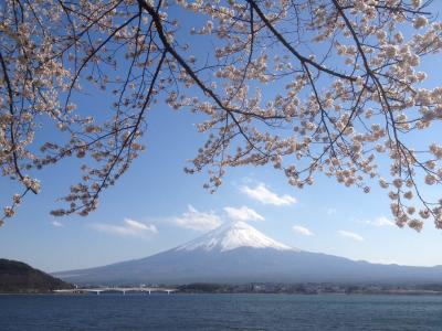 春の富士山