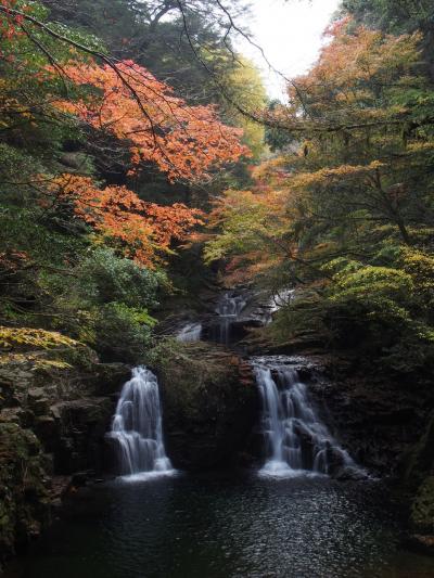 滝メグラーが行く１７３　日本の滝百選・紅葉の赤目四十八滝