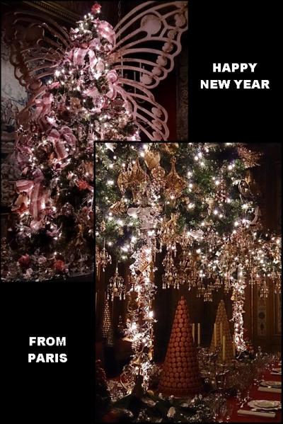 A HAPPY NEW YEAR FROM PARIS ☆Chateau de Vaux le Vicomte　輝く2014年を願って☆