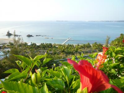 冬の沖縄を満喫!その2