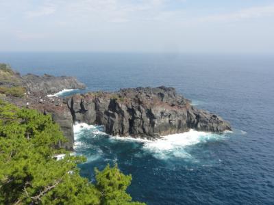 伊豆・城ヶ崎海岸日帰り旅行