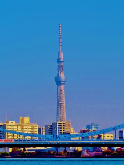 日本橋川/神田川クルーズ2/5　隅田川を遡り；永代橋～両国橋 　☆スカイツリーが正面に