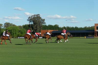 ピラールで一番！多分世界でも一番！のEllaerstina ClubでGold Cupを観戦！