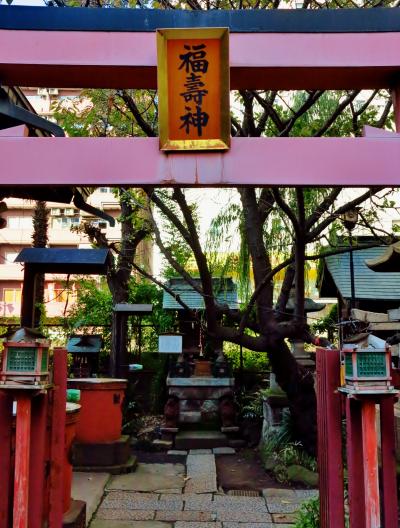 神田須田町/柳森神社　お狸さん：商売繁盛の神　☆江戸三森の一つ