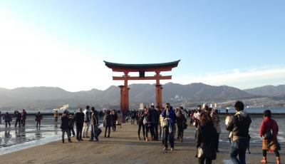 【広島・宮島】　初詣と鹿の一面