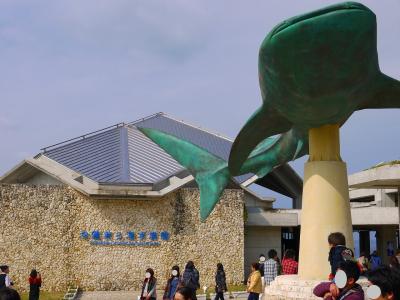 沖縄の旅　美ら海水族館・首里城　☆　2013～2014