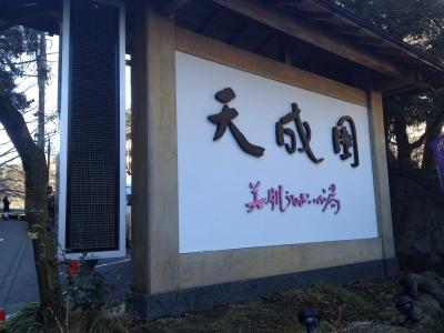 箱根湯本温泉　天成園に日帰りで行ってきました。
