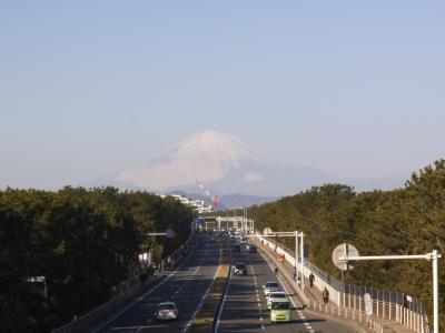 箱根大学駅伝の応援（往路第３区間＝茅ヶ崎海岸沿い）