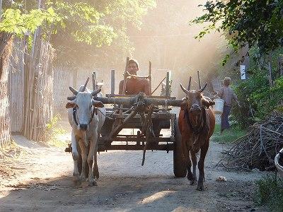 変わりゆくミャンマーへ再び