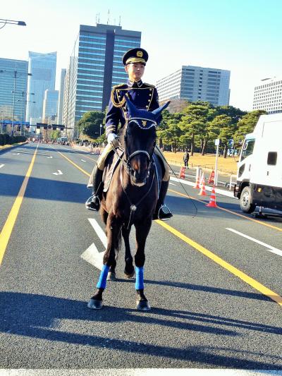 年始に駅伝見物と一般参賀