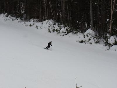 パウダースキーを満喫