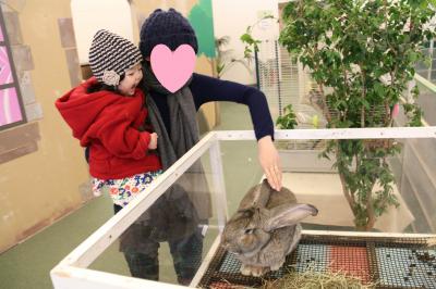 1歳6か月の娘と楽しむ!箱根園