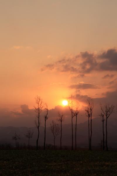 新潟　福島潟の初日の出と池ケ原のはさ木