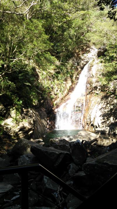 真夏の沖縄 4日目 やんばるマングローブカヌーツアー