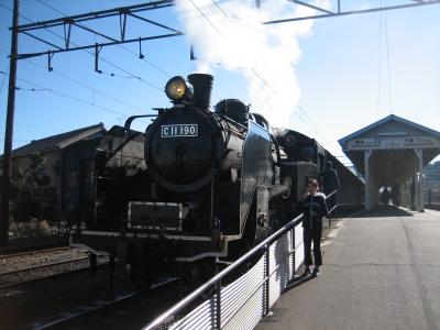 ぶらっと静岡（大井川鉄道、浜松、からの、富士）