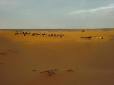 初アフリカは冬のモロッコ サハラ砂漠～エルフード～トドラ溪谷～カスバ街道～ワルザザート編 ６日目