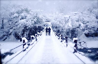 ＊岐阜＊願ってやまなかった奇跡の大雪～白川郷～