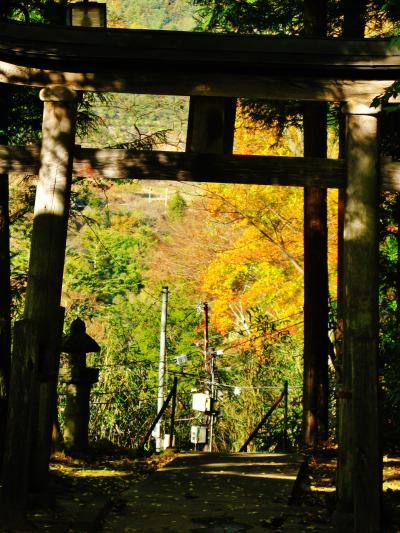 川原湯神社　焼失してもすぐに再建　☆奇祭ゆかけ祭りが有名とか