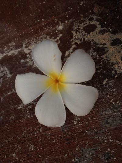 GUAM 旅行＊2日目＊