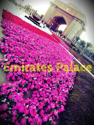2013～2014 年越しはUAEで☆7☆Dubai Mall～Abu Dabi～Emirates Palace