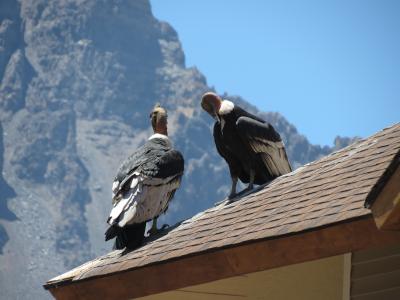2013クリスマス休暇 サンチアゴ編