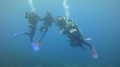 初めてのバリ島ダイビングパッケージ3泊+リゾートアパート7泊(ダイビング編)