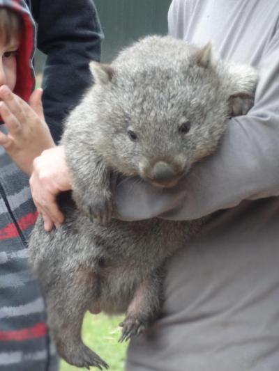 2013/14 年越しハネムーン＠タスマニア④ Trowunna Wildlife Park, Deloraine