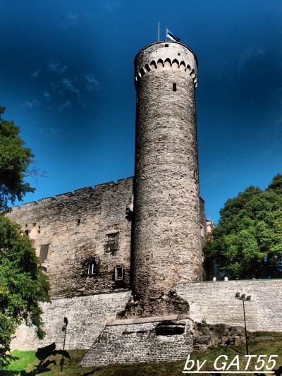 ２０１３年夏の旅vol.06～母親連れてエストニア・タリン編～