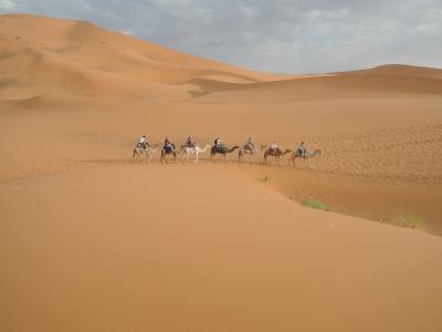 モロッコの旅　その６（サハラ砂漠→フェズ）