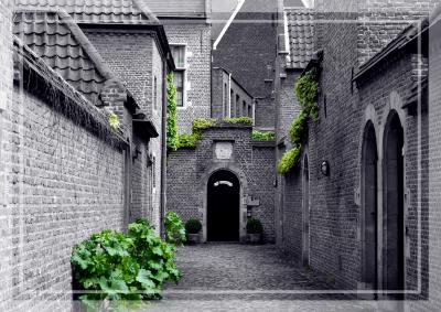 ５月なのに極寒！異常気象の欧州１７日間の旅⑱：　大聖堂だけじゃない！アントワープの魅力（２）