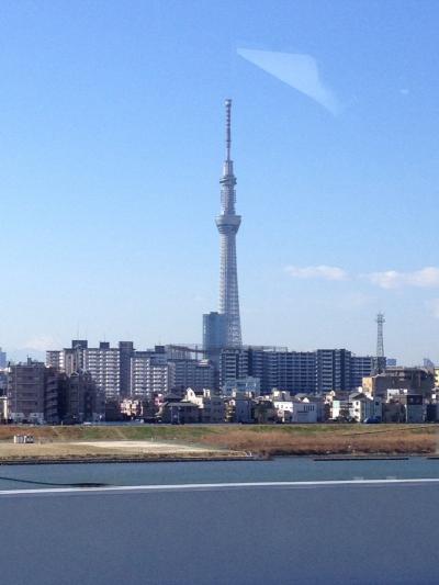 成田～息子の見送りがてら成田ヒルトンへ