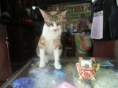 今度は西へ、ミャンマー８（ヤンゴン）