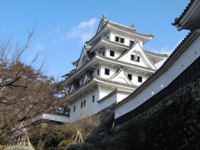 2014年1月　飛騨・美濃の旅　第２～３日　下呂温泉、郡上八幡