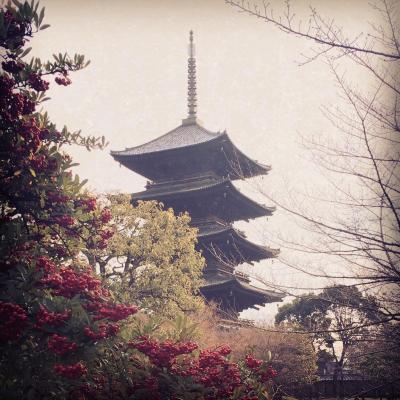 平安神宮−円山公園−三十三間堂−伏見稲荷−京都競馬場−東寺