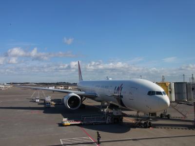 ☆ドイツクリスマスマーケット★1日目☆日本航空でフランクフルトの空港へ