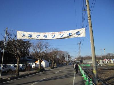 第８回下野天平マラソンに参加してきました