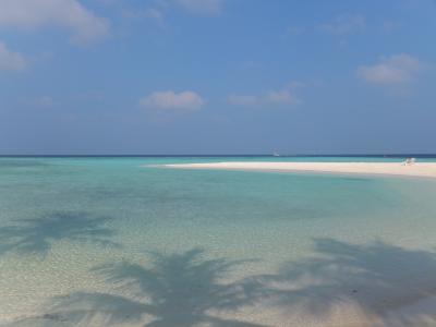 どきどき・はらはら!ハードすぎるぜ モルディブ ダイビング!