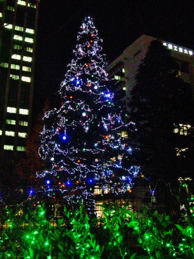 Christmas Illumination　（千葉工業大学構内）点灯　☆津田沼からの帰り道