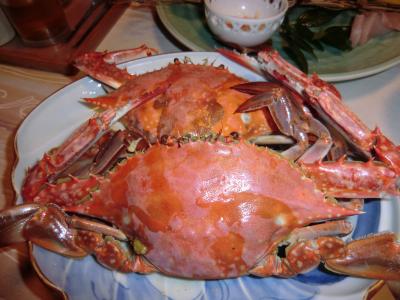 湯布院から佐賀・九州てんこもり ドライブ旅行