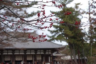 アイラブ仏像めぐり　2014年奈良初詣は、定番の東大寺から般若寺へ、そして薬園寺、唐招提寺（３）