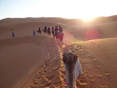 年末年始モロッコ～スペイン縦断の旅 4（サハラツアー②）