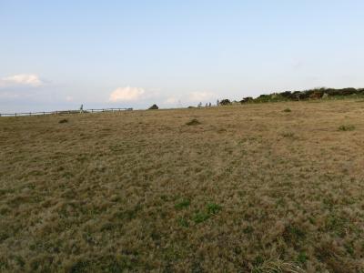 沖縄3泊4日は恩納村のリゾートホテルに2泊と中北城のリゾートホテルに宿泊(4)