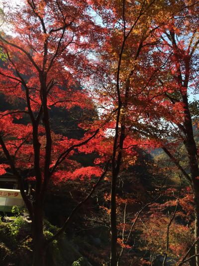 まず温泉、ついでに紅葉狩り ２日目