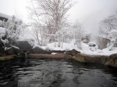 新穂高温泉　野の花山荘　’１４ 冬
