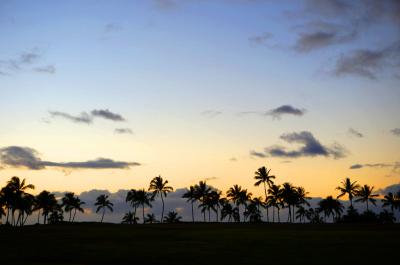千歳発仁川経由ホノルル行き 2014