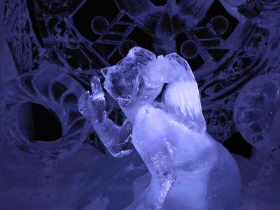 第8回全日本氷彫刻奥日光大会を満喫