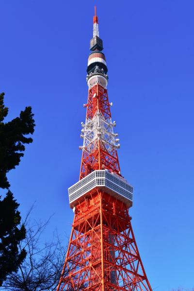 東京タワーと築地